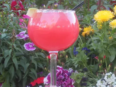 Cheri’s Prickly Pear Cactus Margarita_2